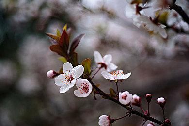 《洛奇英雄传：反抗命运》A测将于6月在Steam平台进行